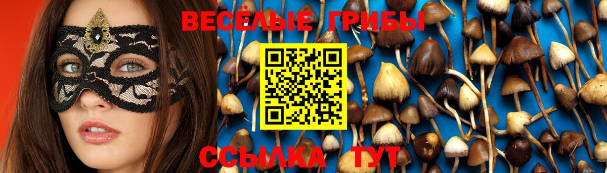 Ульяновск  Галлюциногенные грибы мицелий  Вход с VPN 